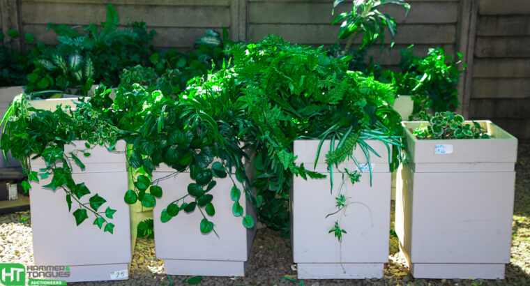 FLOWER POTS