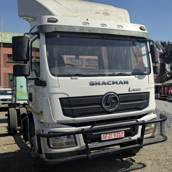 SHACMAN HORSE L3000