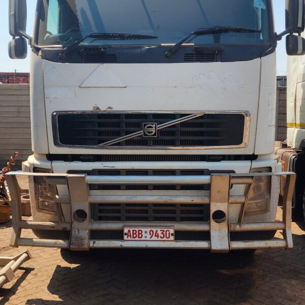 VOLVO FH13 HORSES
