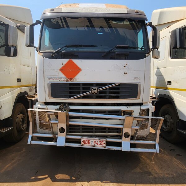 VOLVO FH13 HORSES